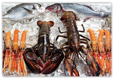 fresh lobsters and fish